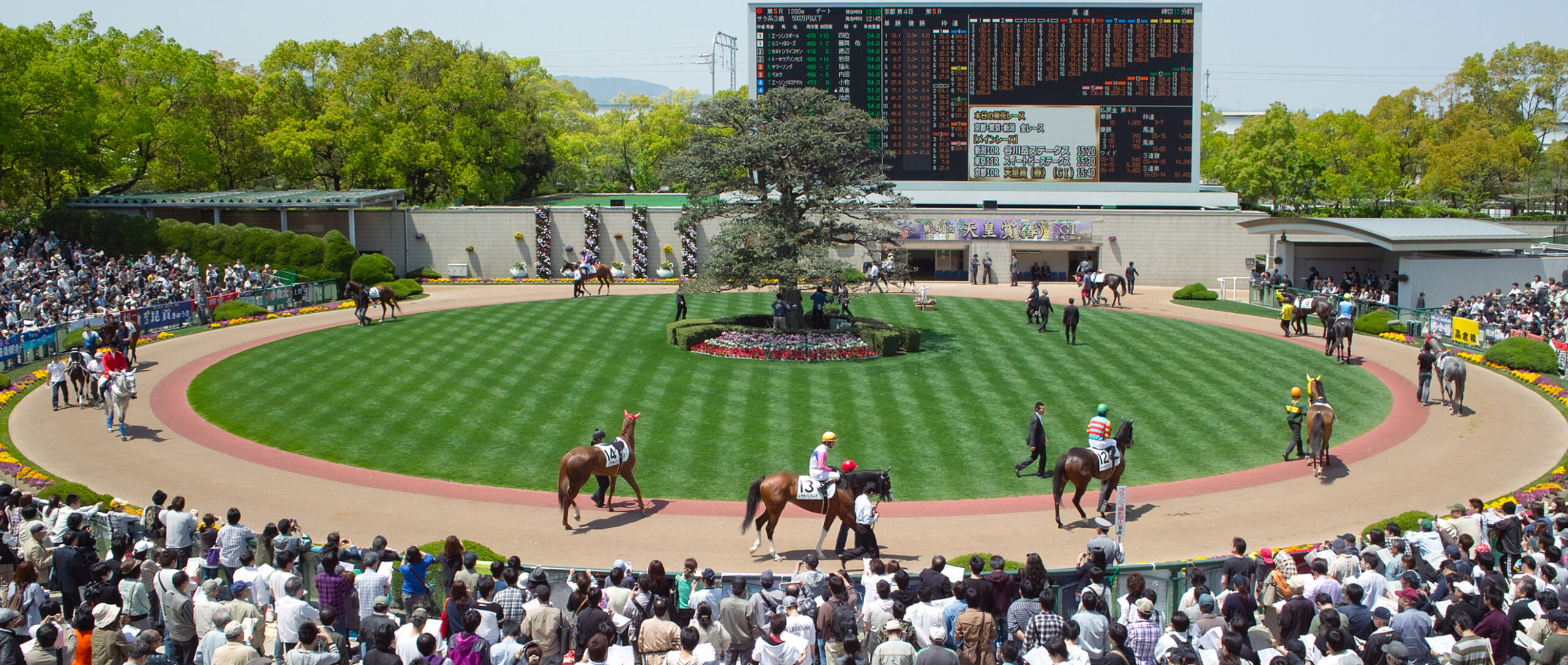 競馬セブンが絶大な人気を得ている理由とは？評判(口コミ)は？【七騎の会】